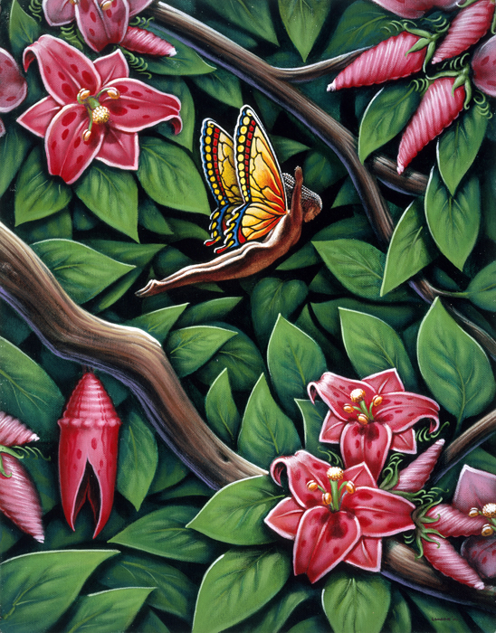 Metamorphoses 